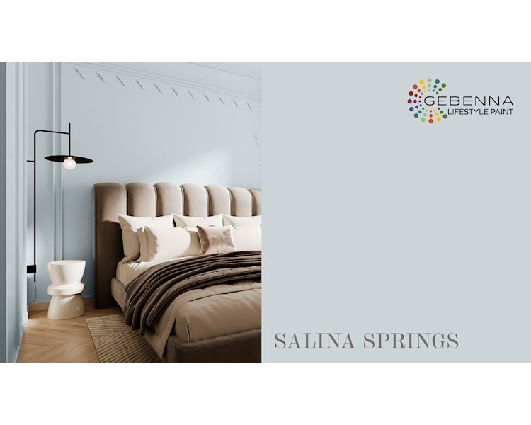 SALINA SPRINGS